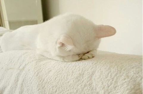 喔槽,坐着腰酸腿酸还带困