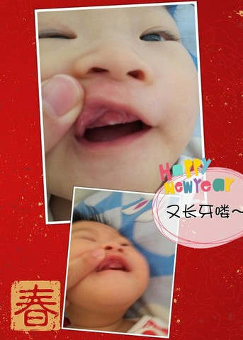 journal_insert_pic_122353342