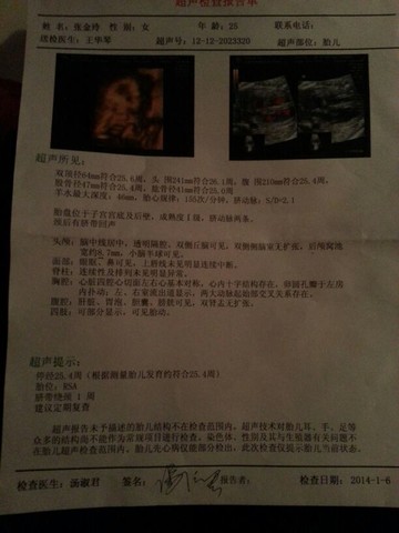 journal_insert_pic_122343895