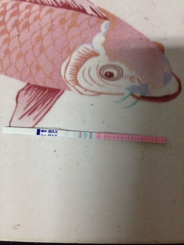 journal_insert_pic_122399797