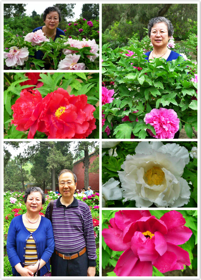 journal_insert_pic_122498495