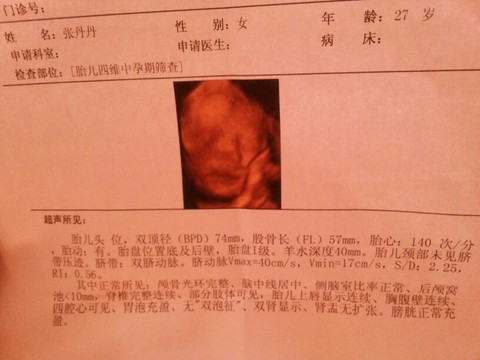 journal_insert_pic_122588116