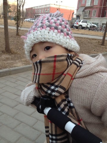 journal_insert_pic_122882988