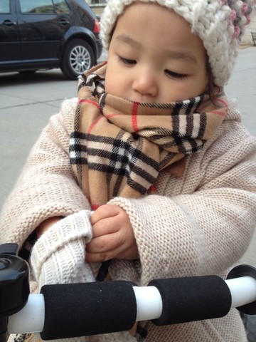 journal_insert_pic_122883058