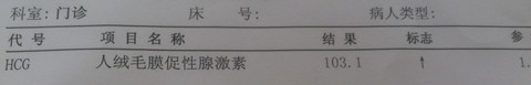 journal_insert_pic_122956308