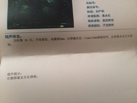 journal_insert_pic_122950473