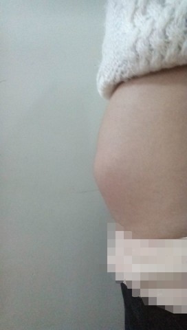 journal_insert_pic_122983051