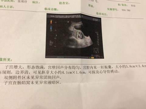 journal_insert_pic_123598946