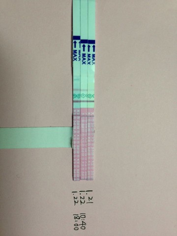 journal_insert_pic_123772738