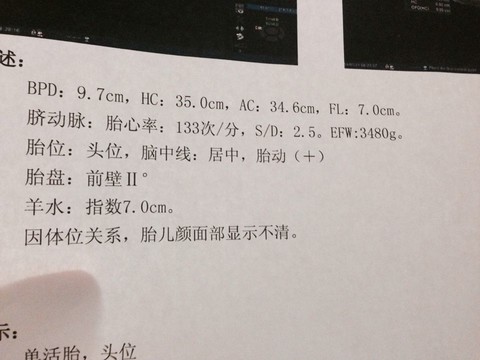 journal_insert_pic_123775179