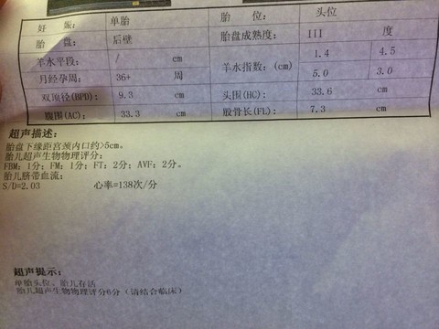 journal_insert_pic_124385836