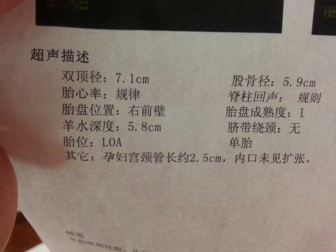 journal_insert_pic_124630384
