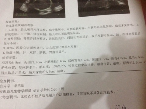 journal_insert_pic_125120085