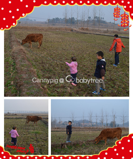 journal_insert_pic_125425436