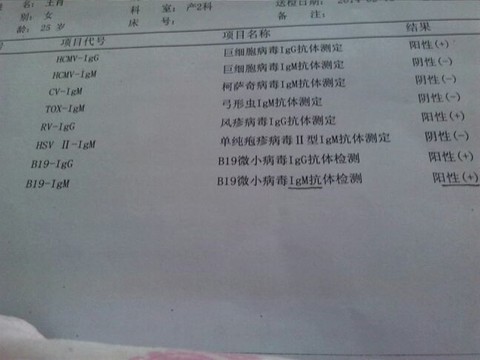 journal_insert_pic_125606201