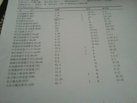 journal_insert_pic_126501911