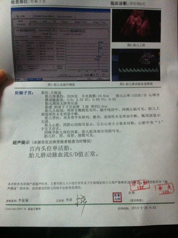 journal_insert_pic_126954653