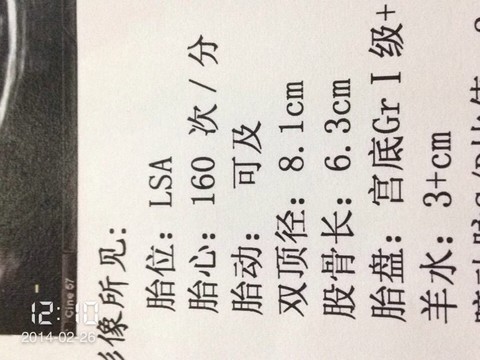 journal_insert_pic_126925520