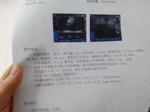 journal_insert_pic_127041371