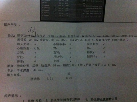 journal_insert_pic_127103817