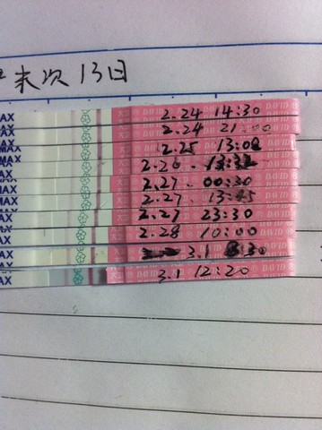 journal_insert_pic_127300806