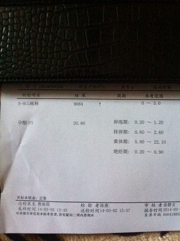 journal_insert_pic_127560138
