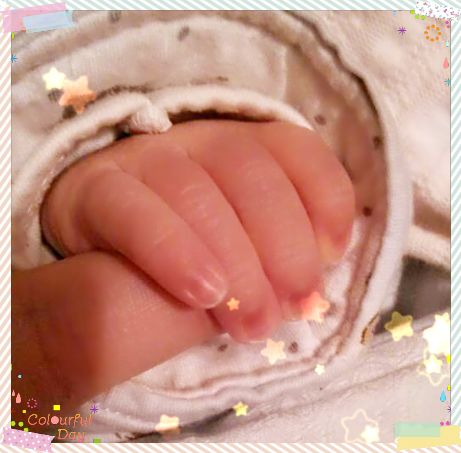 journal_insert_pic_127560066