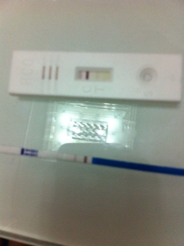 journal_insert_pic_128134330