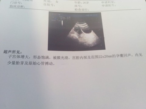 journal_insert_pic_128382068