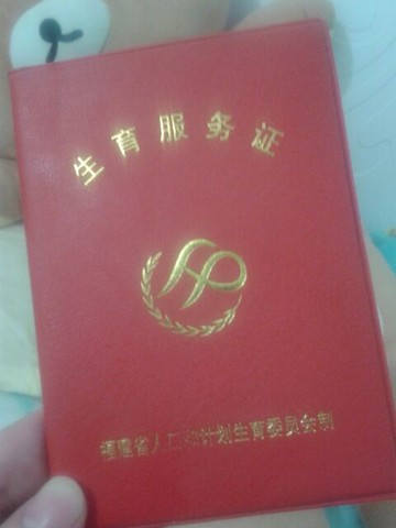 journal_insert_pic_128481483