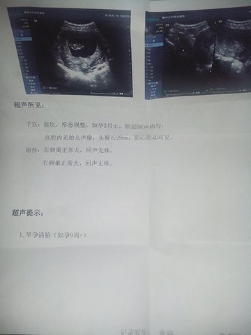 journal_insert_pic_128773267