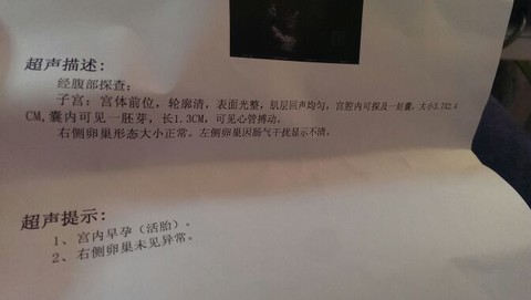 journal_insert_pic_129373197