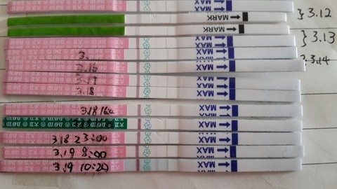 journal_insert_pic_129479890