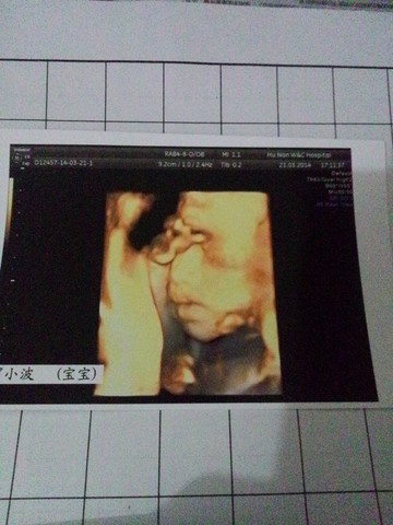 journal_insert_pic_129830352