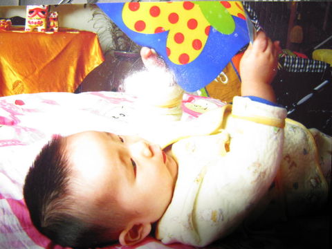 journal_insert_pic_129736049