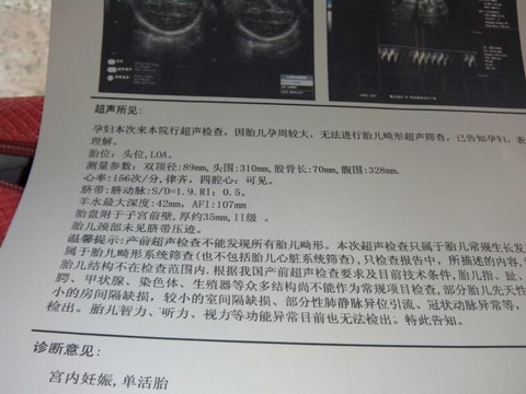 journal_insert_pic_129836451
