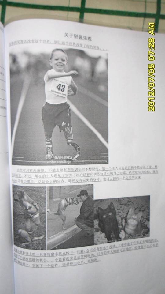 journal_insert_pic_129735582