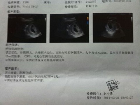 journal_insert_pic_129807433