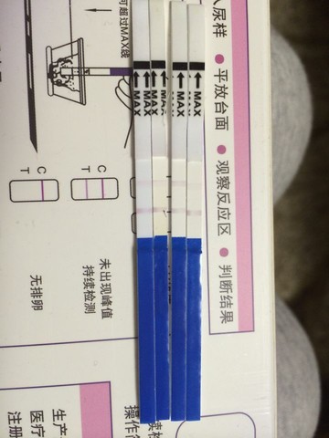 journal_insert_pic_130058771