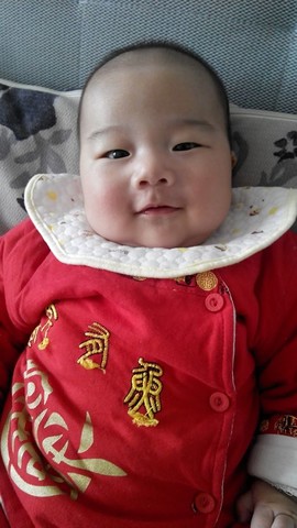 journal_insert_pic_130176750
