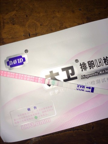 journal_insert_pic_130122764