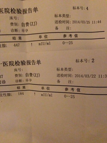 journal_insert_pic_130322569