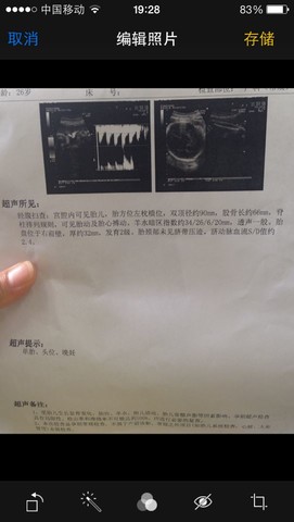 journal_insert_pic_130516201
