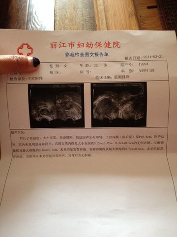 journal_insert_pic_130785274