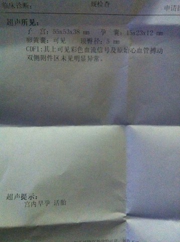 journal_insert_pic_130836085