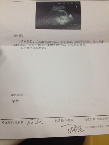 journal_insert_pic_131069624