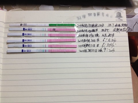 journal_insert_pic_131104819