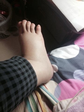 journal_insert_pic_131222025