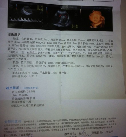 journal_insert_pic_131355635