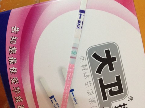 journal_insert_pic_132415102